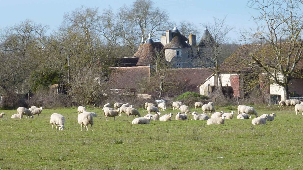 Le Logis B&B  La Trimouille Exterior foto
